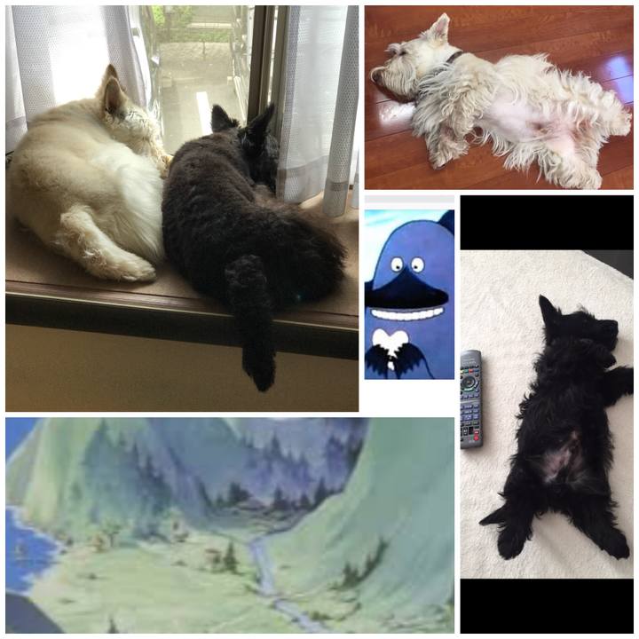 9b63a646 cb5d 4e8b baf0 a2fb50f3a9f8 1526155932382