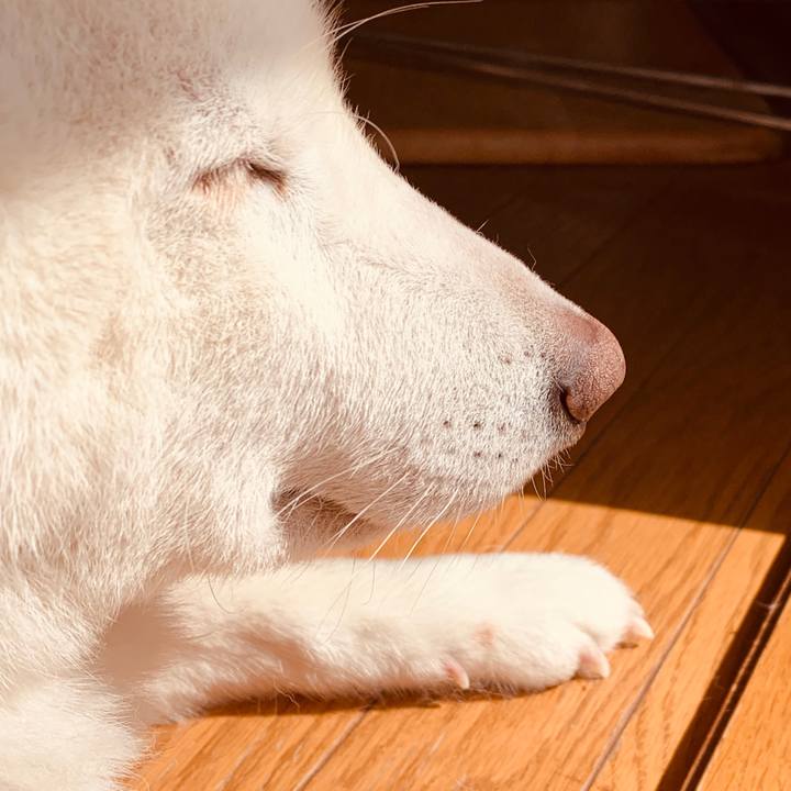 9b63eb68 6bb2 4f37 bebd 85596c4f12a0 1584499480060