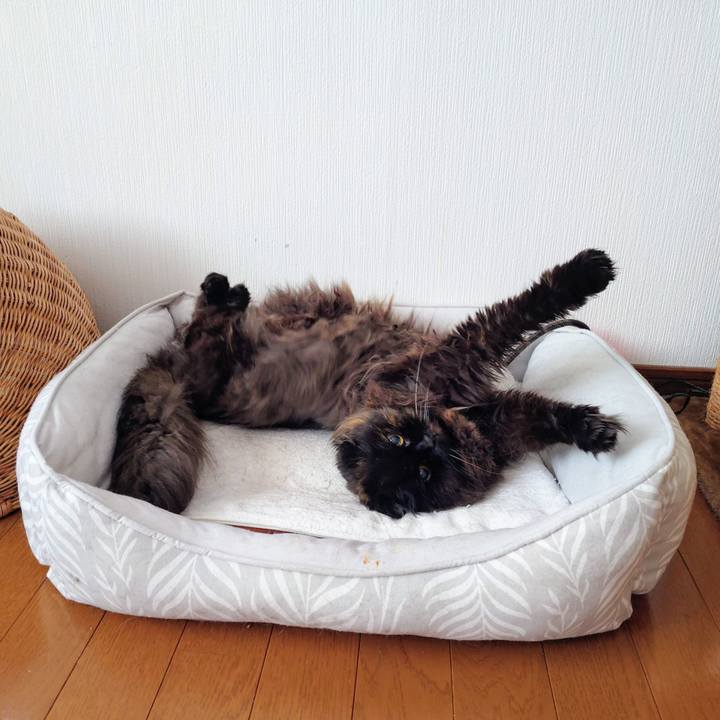 9b64792f e036 47a6 8657 6098bdbc6d89 1773807564599