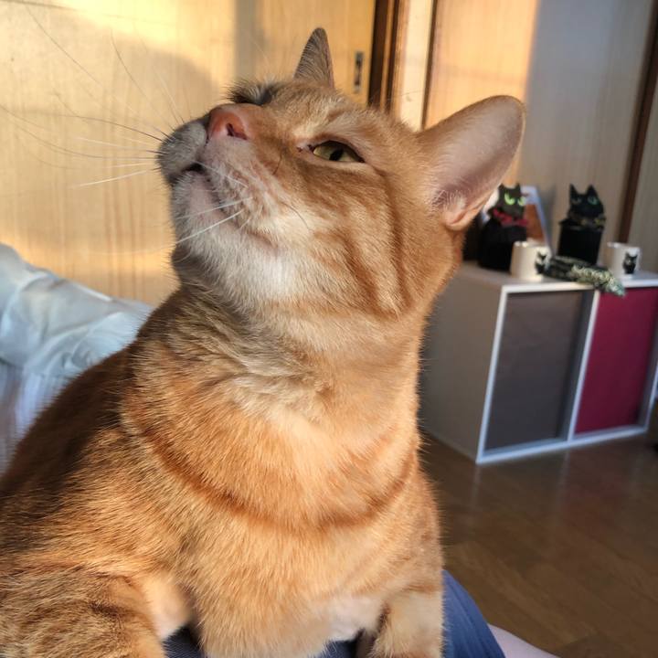 9b648a4f 55b7 4c7c a43c ae280b83ce7d 1647983228207