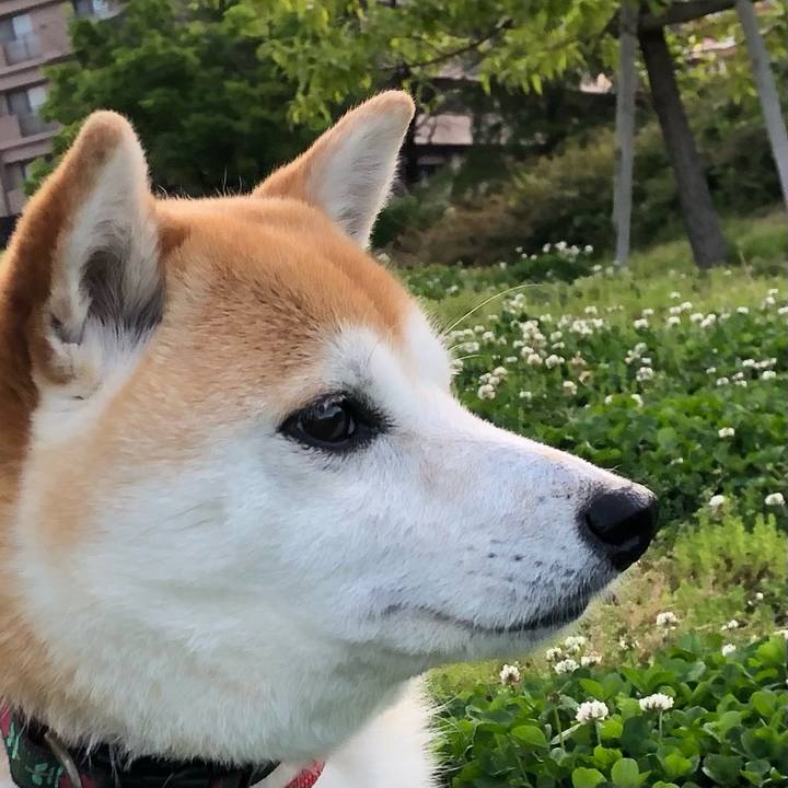 9b64b72c b8f6 4c59 81af 68fa8a6918e6 1619830668890