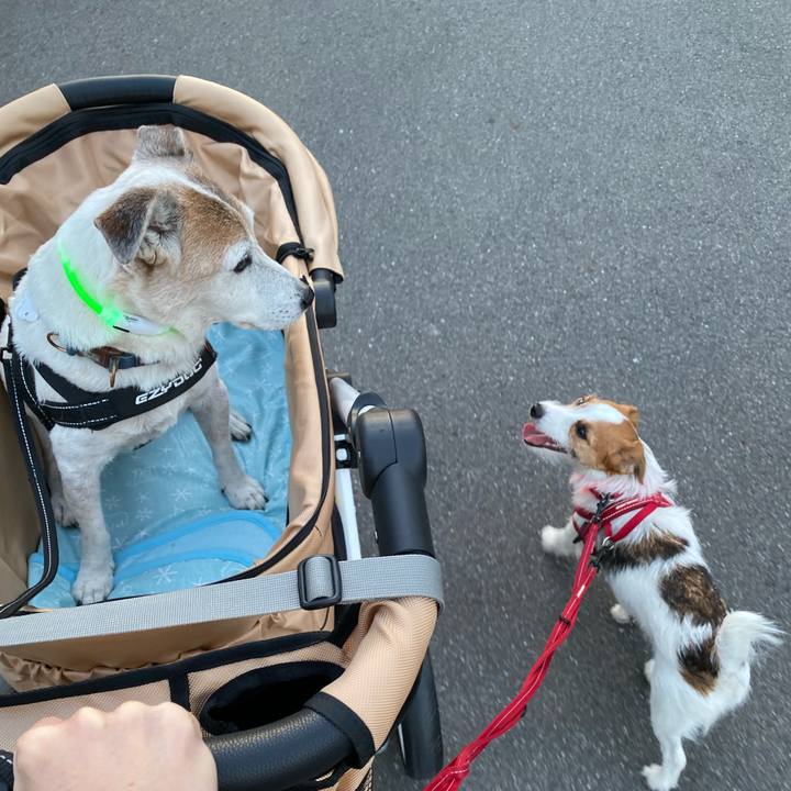 9b64bf45 eeb8 4340 9e1a 938c44bb0c85 1627129369381