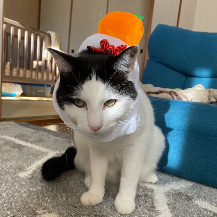 9b650412 5103 43c8 b2fb 24ee8c268455 1608806764353