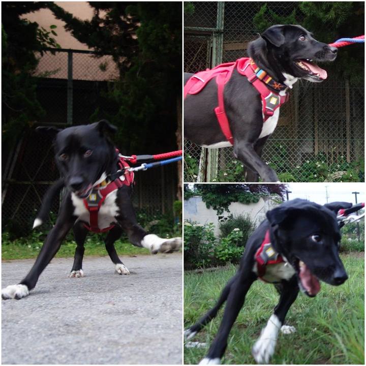 9b65574f ddde 499d bc14 57b5e5c17559 1591181310818