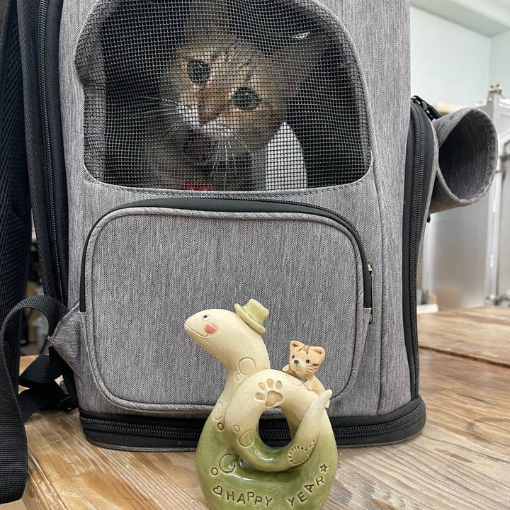 9b658869 23b8 4a31 b3e9 de4cb2efd6fc 1728222293686