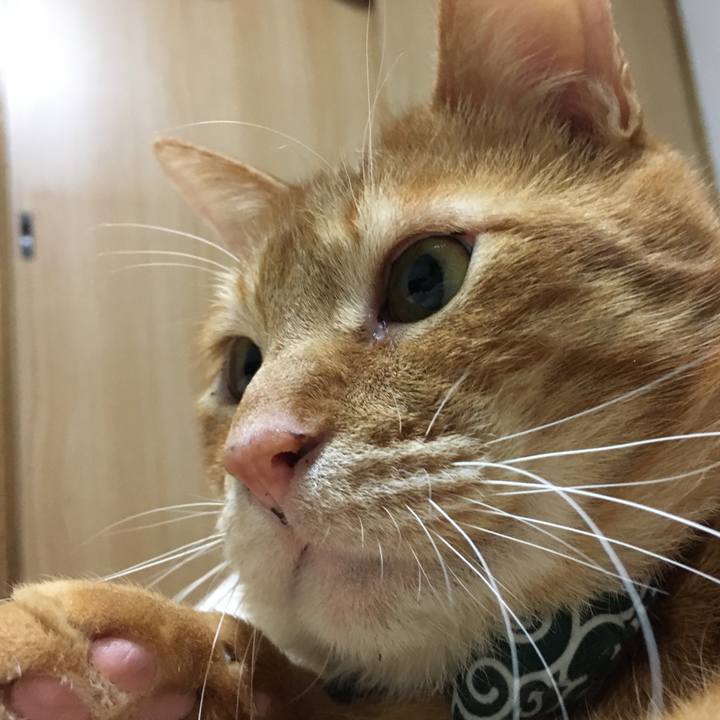 9b6635fc 75b8 440d a156 f5d3fb7ccc50 1549021528225