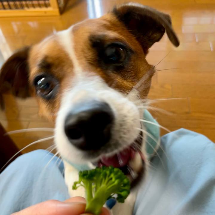 9b6637f7 07f7 4a84 8953 0eee9db2bebb 1626737492186