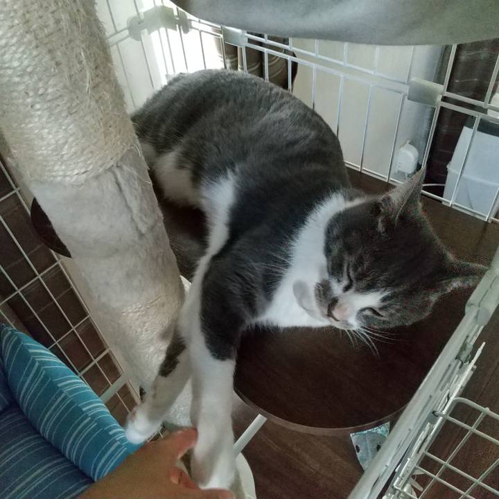 9b668de0 3efb 45c6 8929 1782f5eefd6e 1600142175210