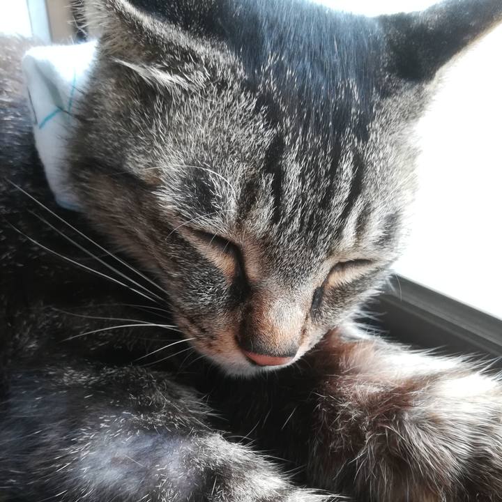 9b66c2ae 06d0 4831 9f37 55aee7923265 1593923986024