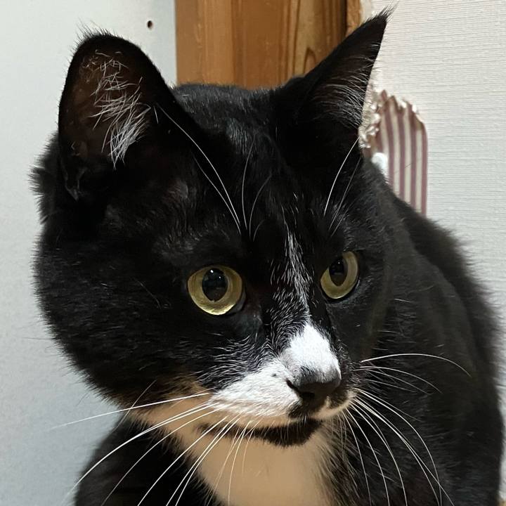 9b66e218 8663 41c5 b831 30ba6174e3d2 1752809777378