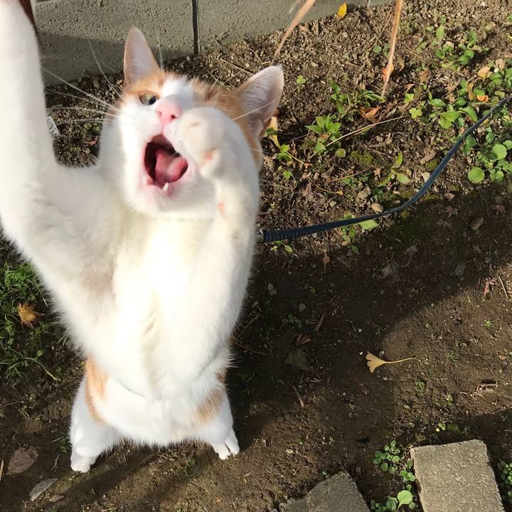 9b66e7d6 bba0 46b5 94ce fd20cd54f7f0 1510359275469