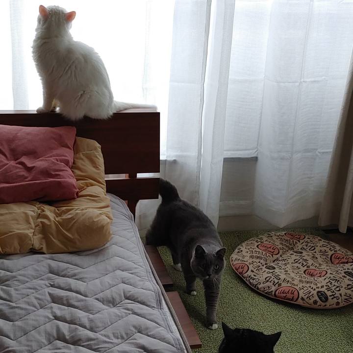 9b66f921 ac14 40f9 acbb 0f2c55248c2b 1628467763618