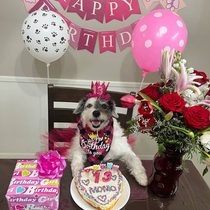 9b671a6c 31dc 4275 bf33 6c598f00ebfb 1707688841729