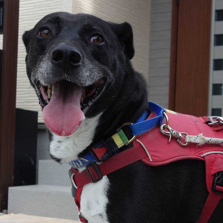 9b672b0a 0975 468d b07a 5a8b03d15f63 1687565478504