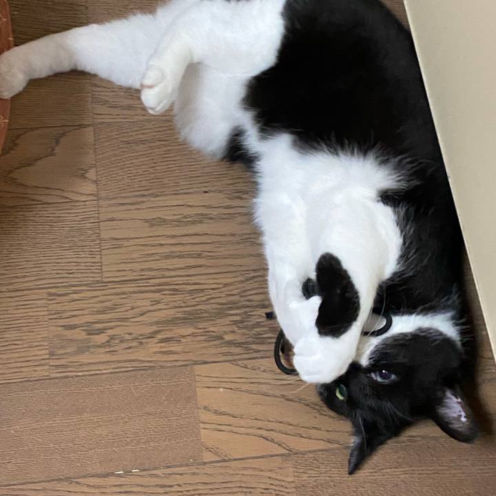 9b677d11 9dbe 4661 87a3 564a0edf305d 1687617385380