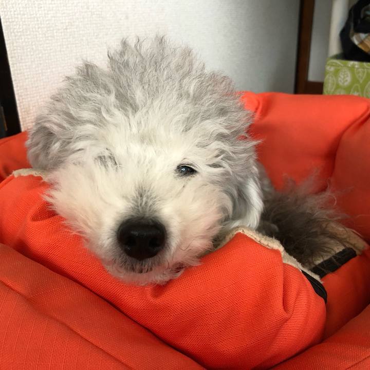 9b677f16 2b51 448b a5cc 4763f829da32 1575333628961