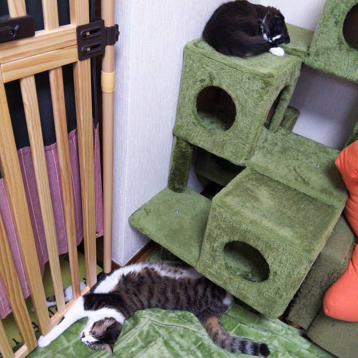 9b67b6cb b0cf 4224 b025 0ce04c1c78eb 1641724420277