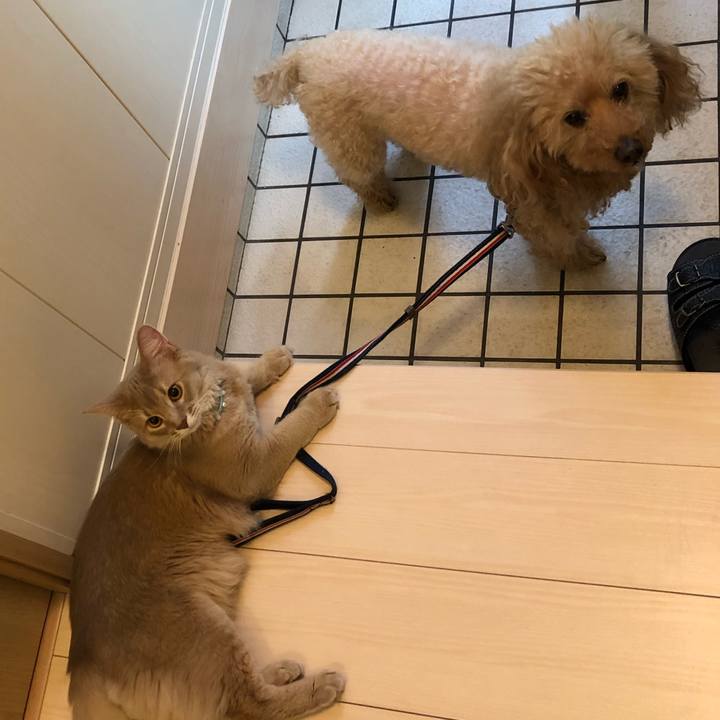 9b67bfc4 0b45 4e41 b4af a816a1a256a4 1557354593863