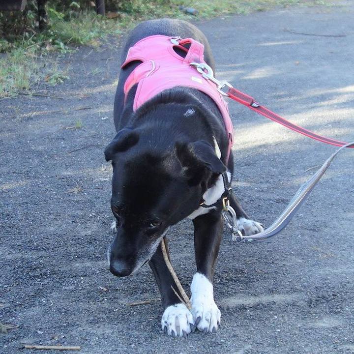 9b67c826 5a9d 4abc b885 69747ed90b21 1698799643805