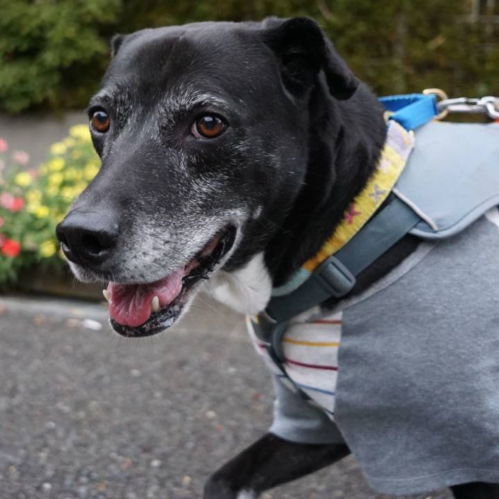 9b67d07a a29e 41b6 9271 7f2c26a10051 1764027151335