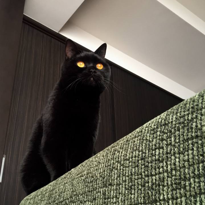 9b67d5c8 d5d4 4c31 9d1c 4f927900c02d 1545140105235