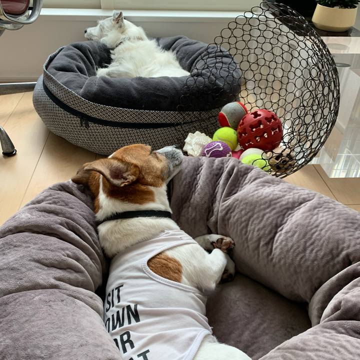 9b67fc98 dbbc 4979 b981 776ef8e9a27d 1600751868359