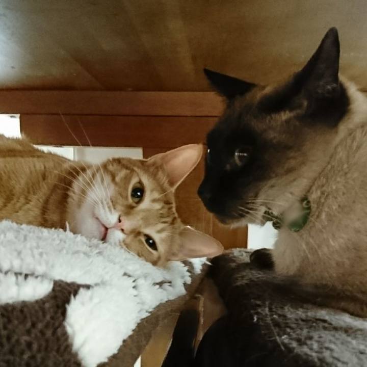 9b684242 5662 4221 a063 7ebd3fc4b6aa 1517747758700