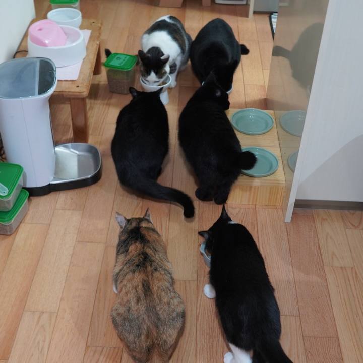 9b685fac a5ac 4f5b a466 188b9499efb0 1594894966685