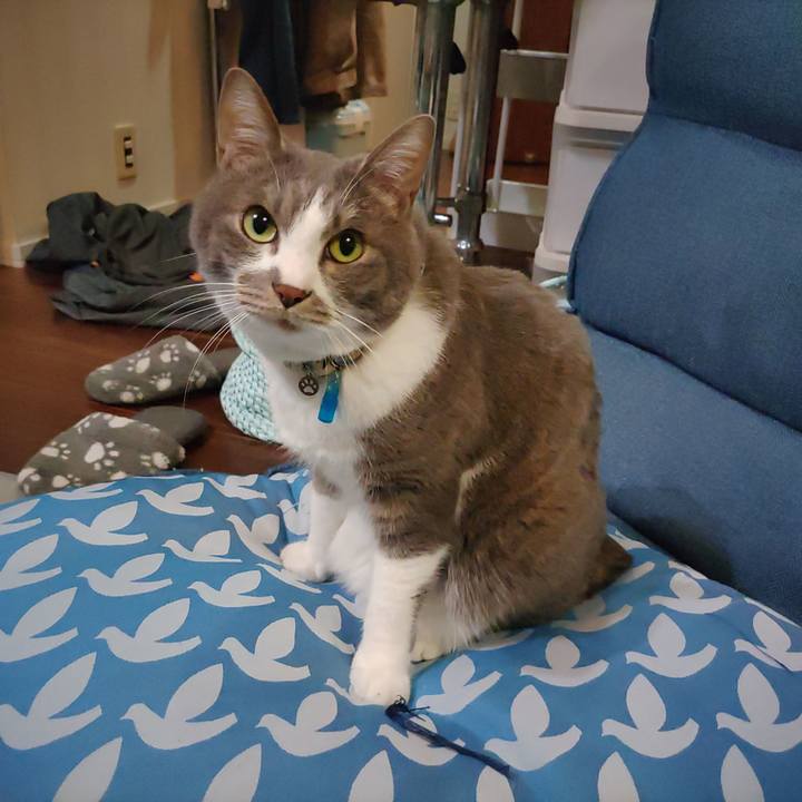 9b686b43 bd28 4002 8f0e 818cd2dac833 1710678684774