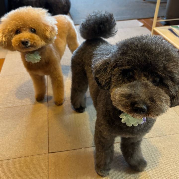 9b687ba4 0170 41b1 9ac9 229c8694e0f6 1758095640764