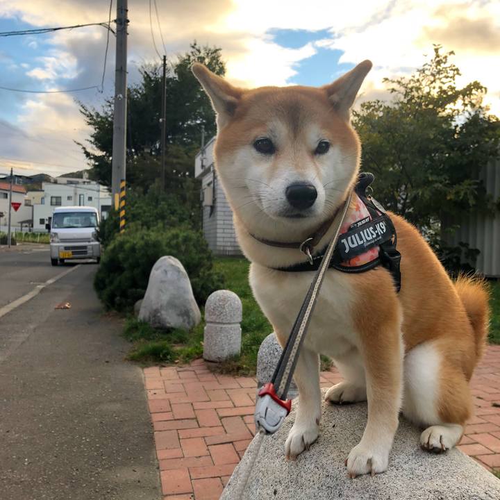 9b687d0f 9ecd 4962 b7a1 ef79ce68fa48 1539776061213