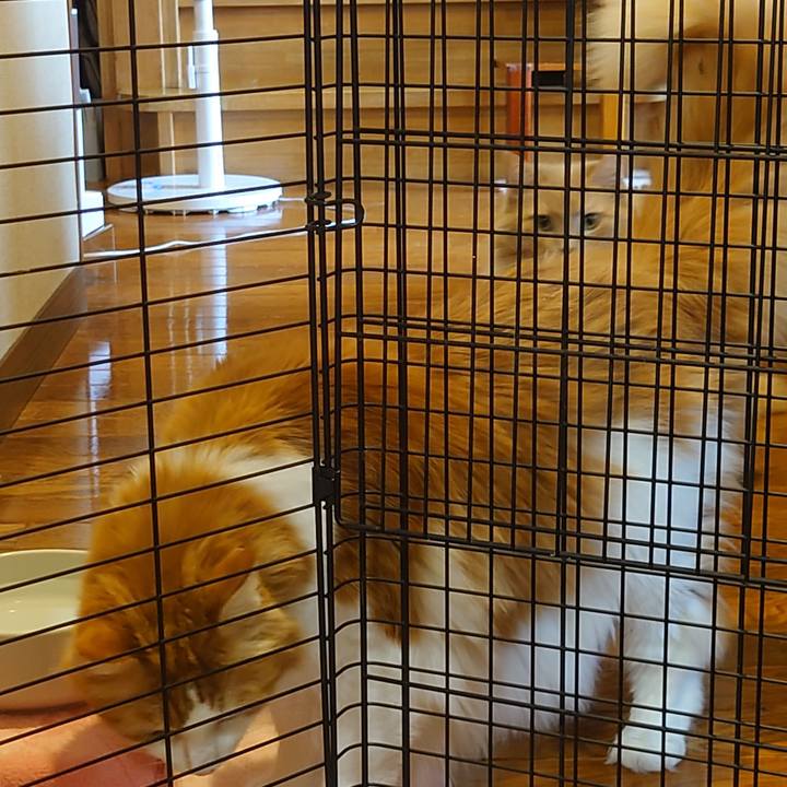 9b688bcf f9c9 42e5 b50f b1288cefa7e9 1696089421094