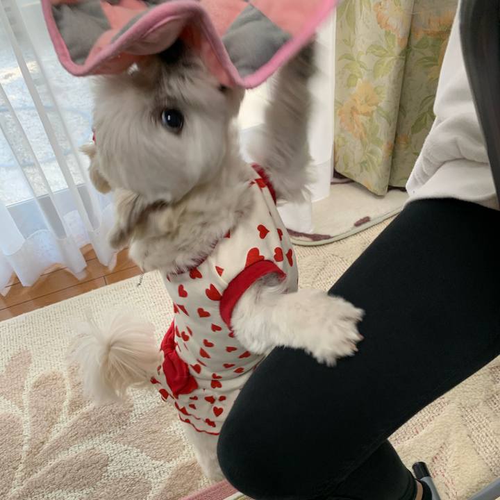 9b68c92e aa81 43ac 81f1 fb157eb1165f 1646913271002