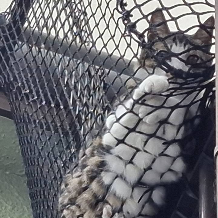 9b68d061 5484 464d af0c 06cdc9fb4b3b 1744792682851