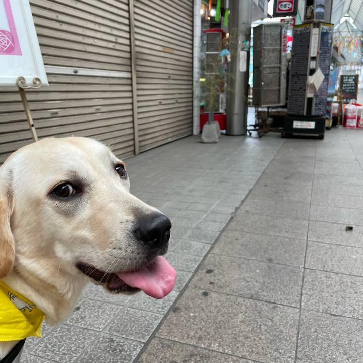 9b68d686 18ed 4a20 90c5 eef819324ba0 1625749102069