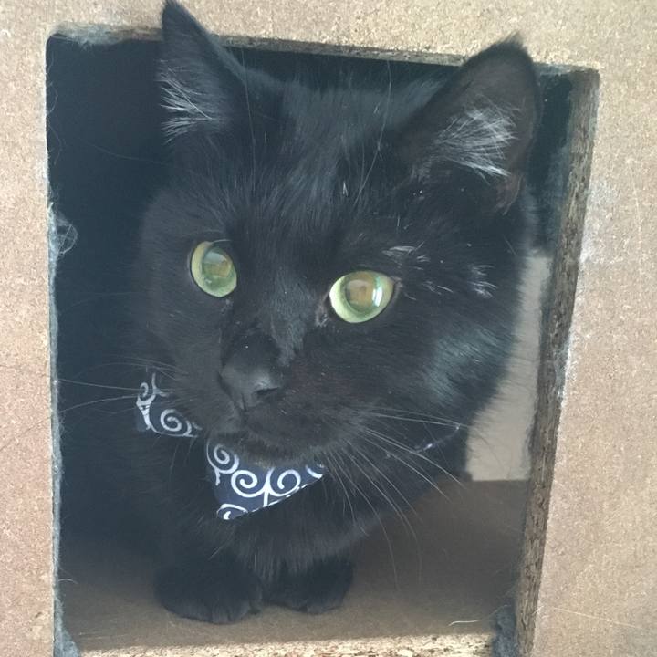 9b693807 45e4 4946 a3bb 42bdcf2c7723 1546989180666