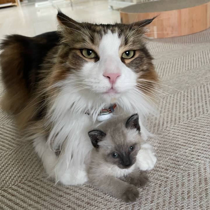 9b697620 8ae1 4fa9 99da caec9ed888c6 1685651345482