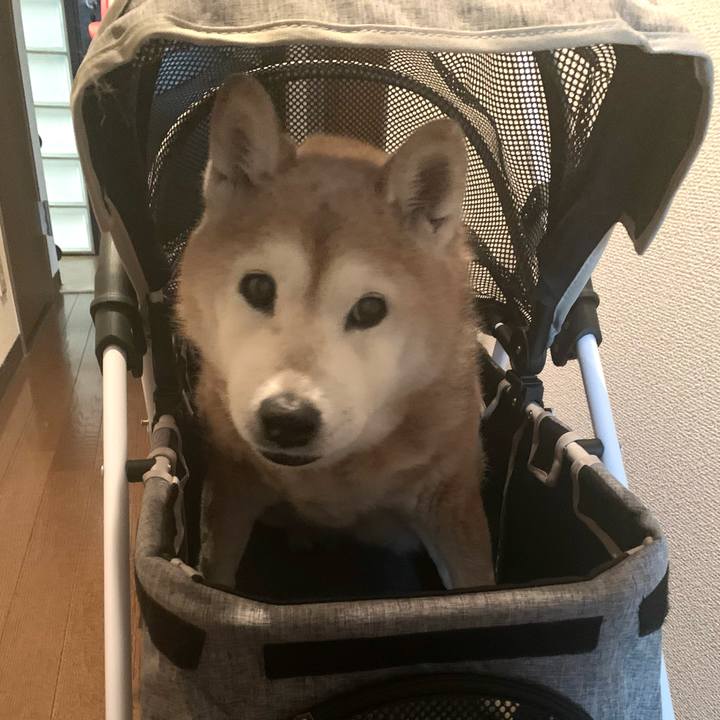 9b699af1 52f6 4bd0 a51e 8610c6a531eb 1677062410920