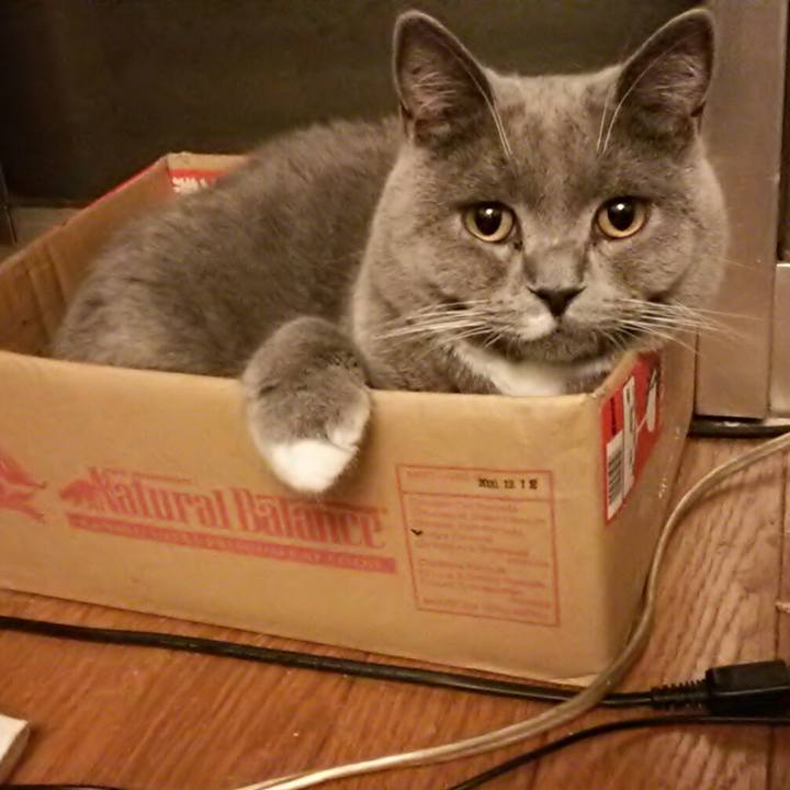 9b69c0cb 142c 4376 a2a5 c08fd4aa4609 1545226522726