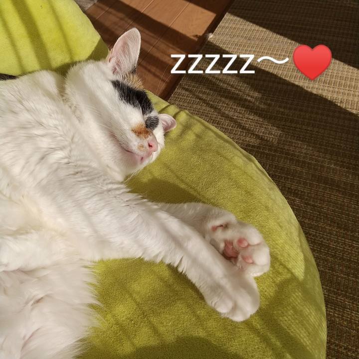 9b69ea39 3561 4a42 91aa 322ac8c716fd 1611033134531