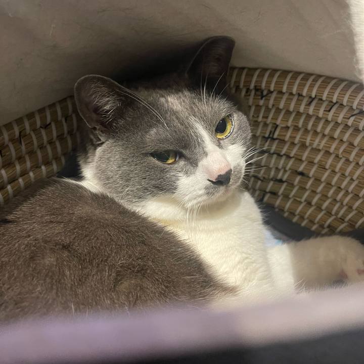 9b69ed3b 0c66 4fe3 848b 6d6652c9963d 1684234320374