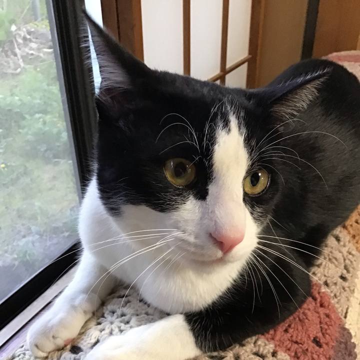 9b69fdae 97b0 47d9 b15a 0a04fb133054 1649839949704