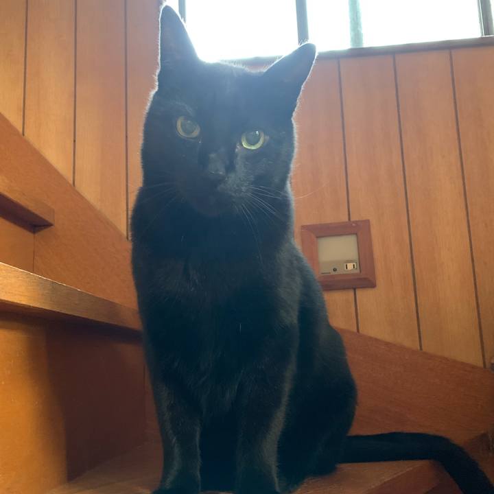 9b6a6b46 d236 473c ba4e 3b1063e4e25e 1547600334982