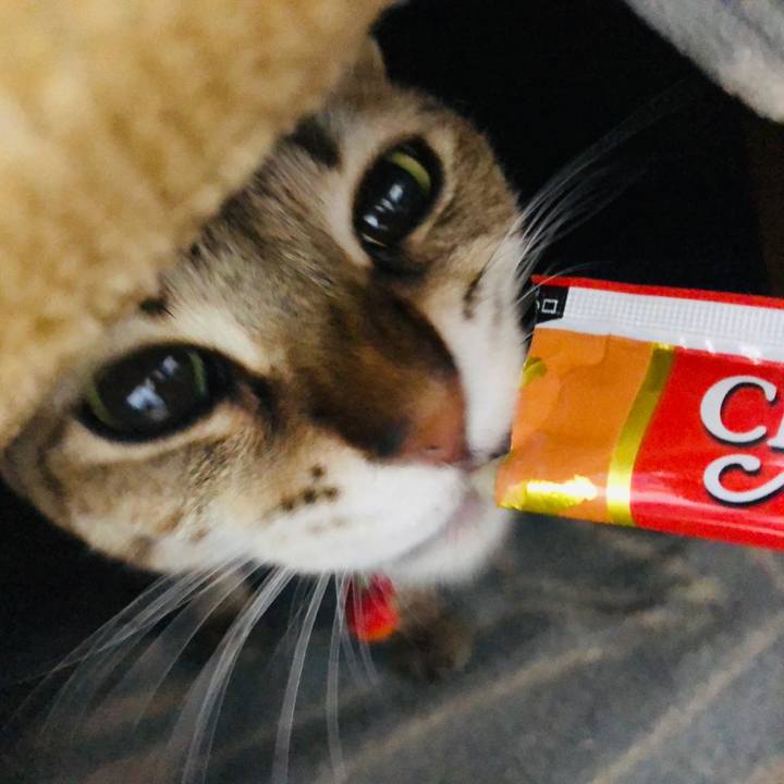 9b6a7d1d 4269 47c4 a830 67cfc4be56c8 1641088944037