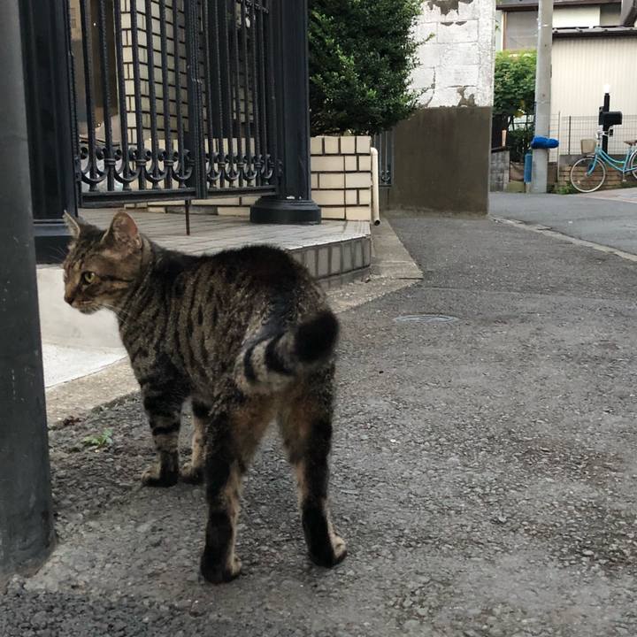 9b6a7e14 0d1e 44ab b368 3bbf833892e2 1533708569187