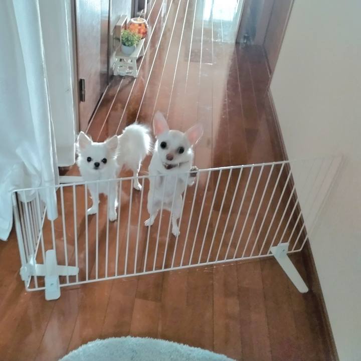 9b6a84c8 1fc2 4315 8b81 0bd1b5326937 1748054370584