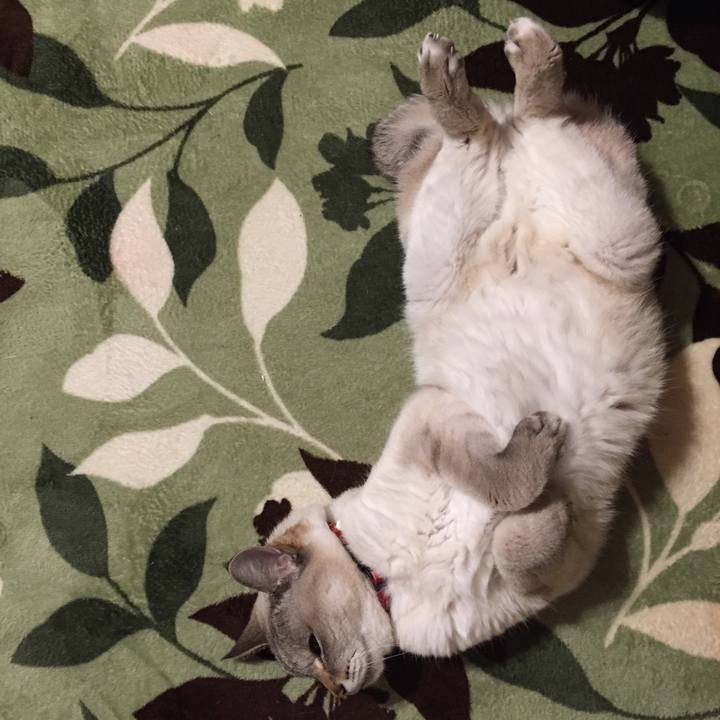 9b6a8e96 ae54 438f a0f5 e393bcc410f8 1586601152625