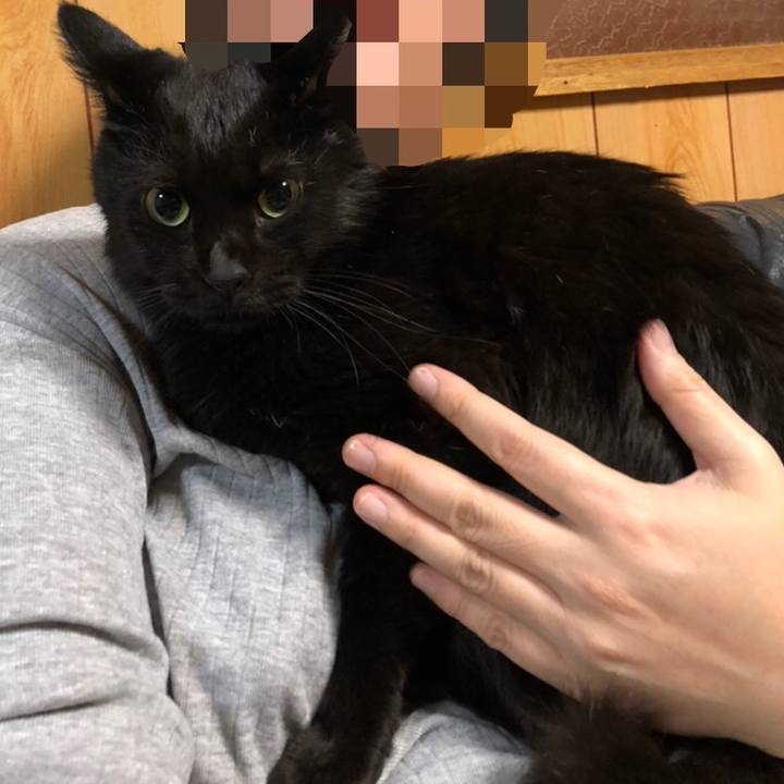 9b6aab94 e9b3 4b37 b73b 6644dbd37e5d 1568894214529