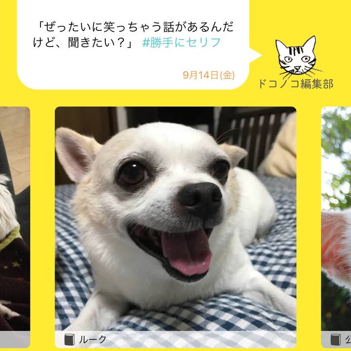 9b6abeb0 aaef 4ed5 bebc 1b5348a93e76 1541907564797