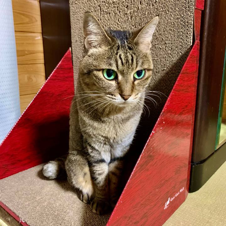 9b6ac36f b72a 406a 859e 6967b1c85e35 1654853307869